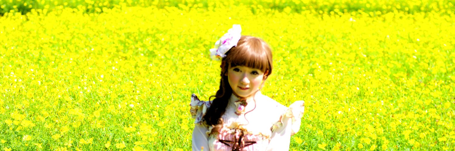 MitsukiFuka's profile banner image