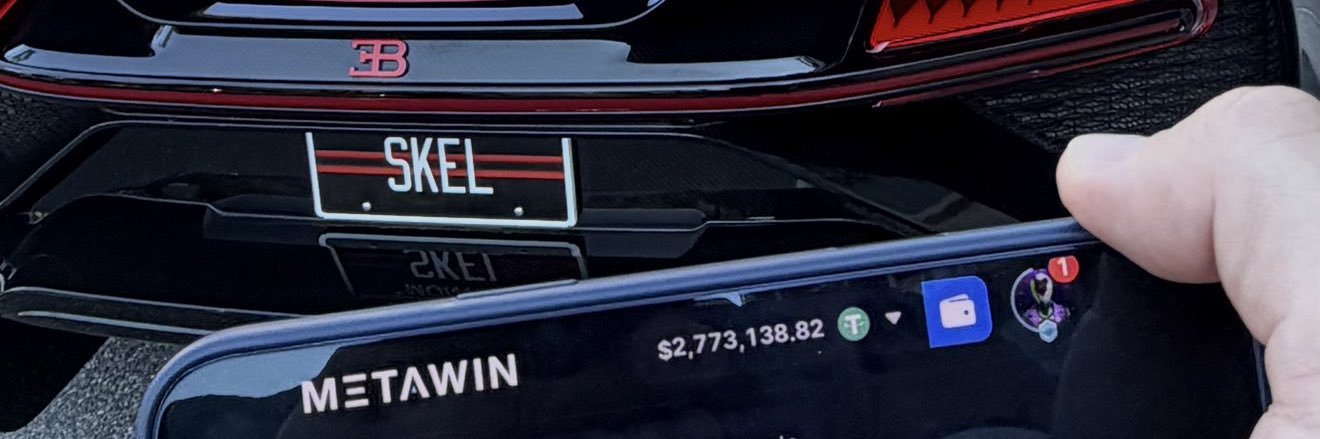SKEL banner