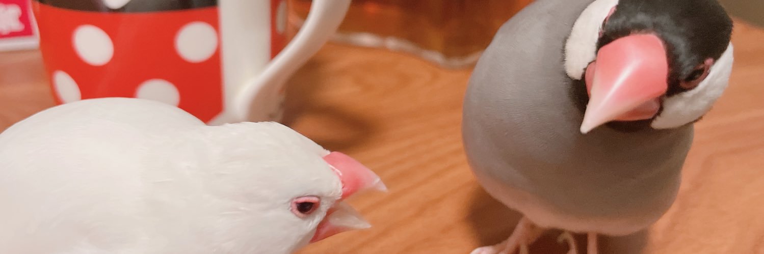 ふでんね banner