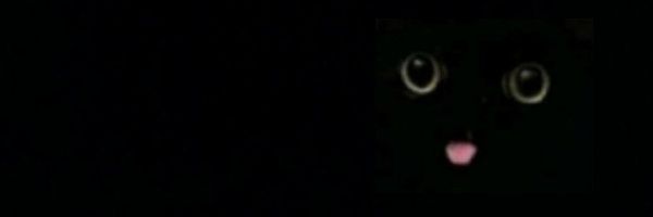 t3364131's profile banner image