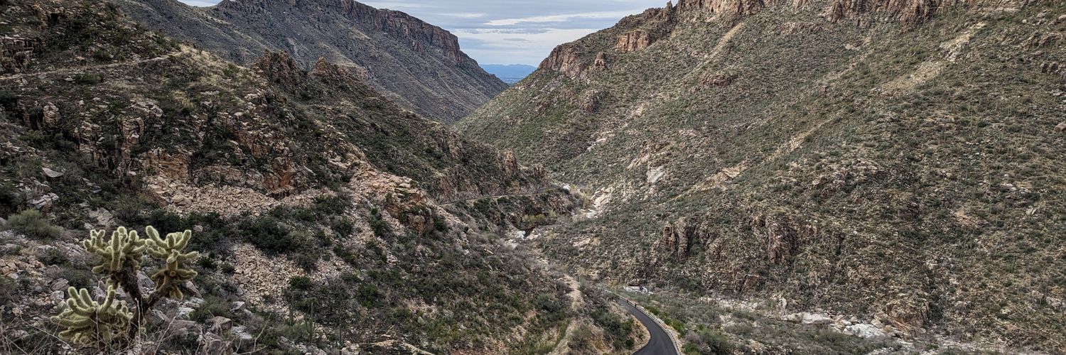 Greg King, SHRM-SCP banner