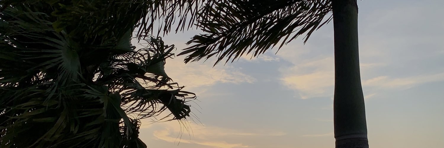 Gabrielaa_Souza's profile banner image