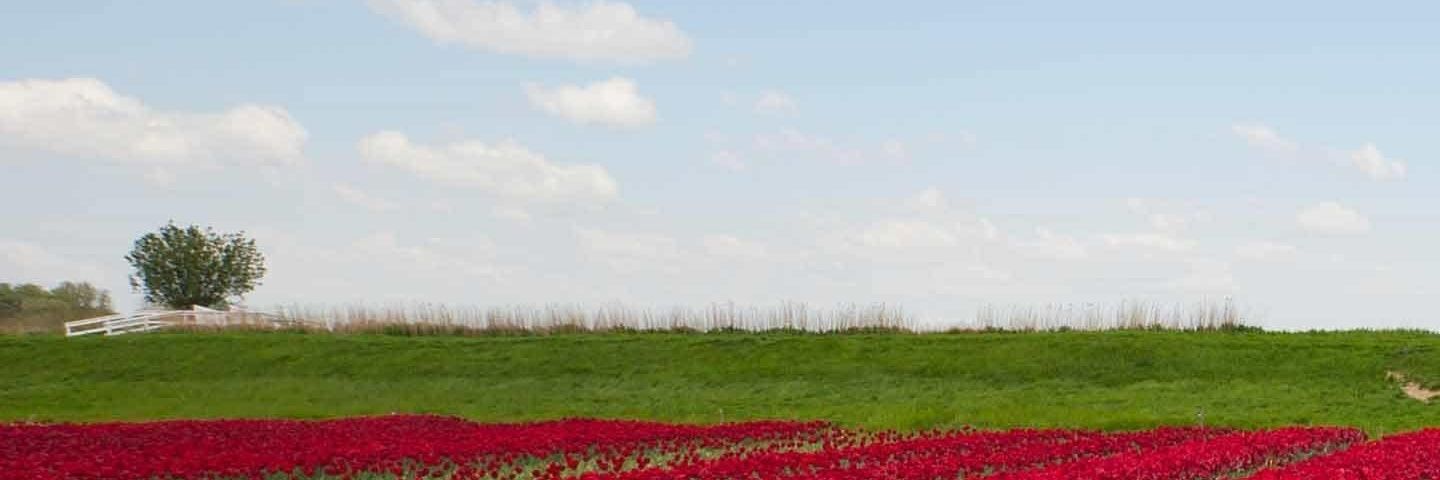 THK__07's profile banner image