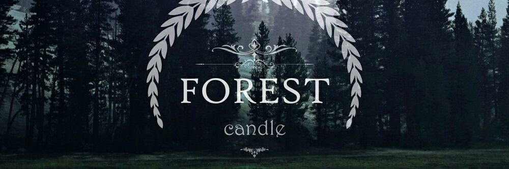 candleforest's profile banner image