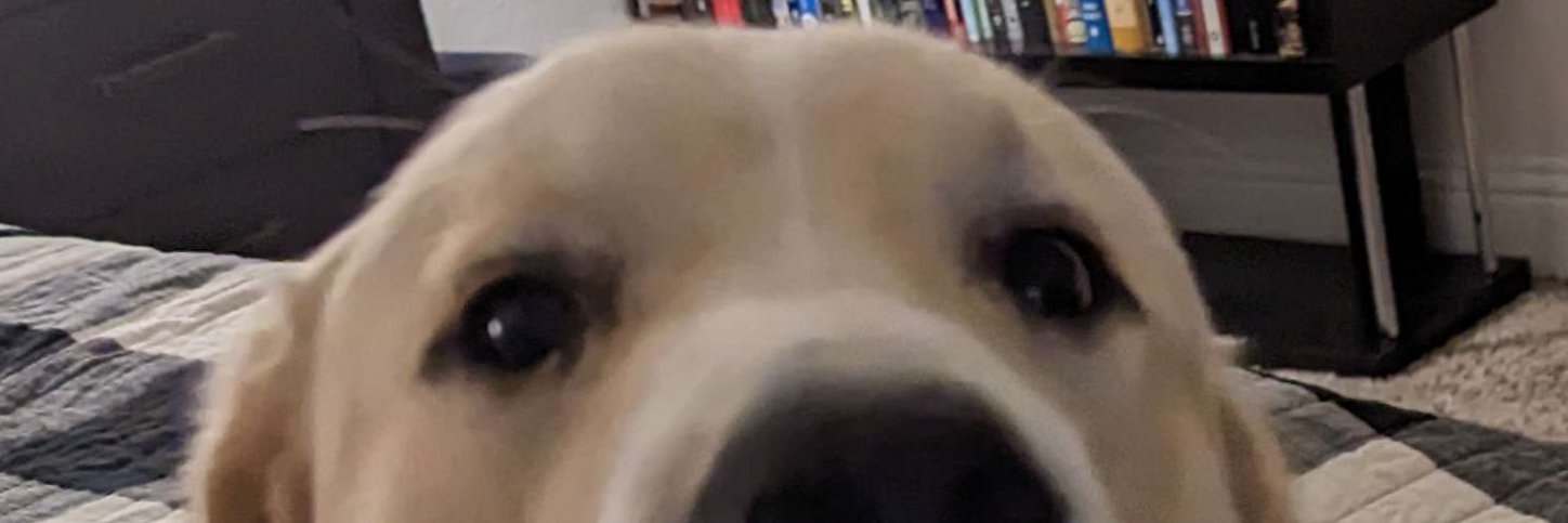 kobatops's profile banner image