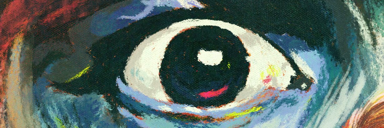 luffwoto's profile banner image