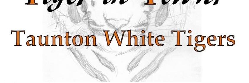 02780WhiteTiger's profile banner image