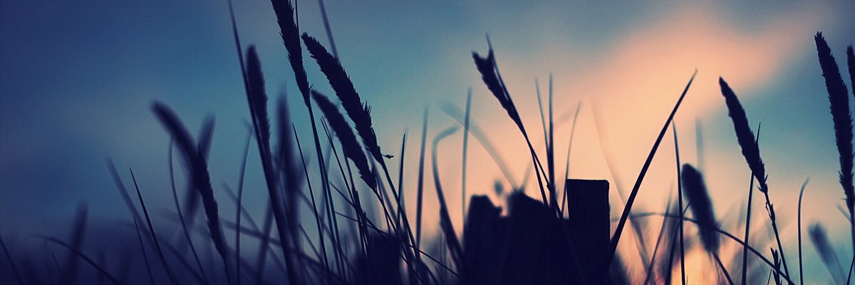 TiffBuchanan013's profile banner image