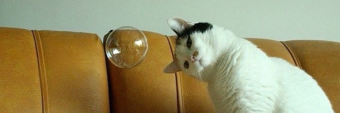 𝙲𝚊𝚛𝚘𝚕 ❥⃟࿐ banner