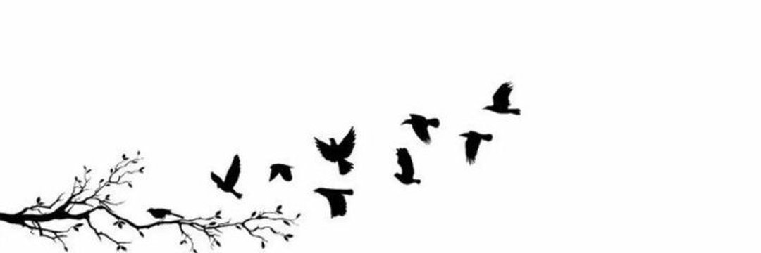 _athila's profile banner image
