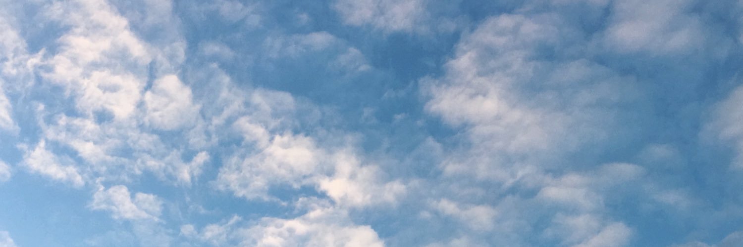 waltipet's profile banner image