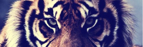 garrhon12's profile banner image