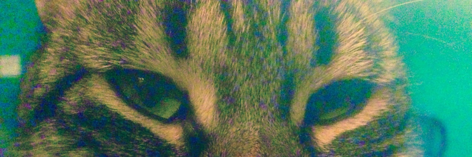 Barru_DSZ's profile banner image