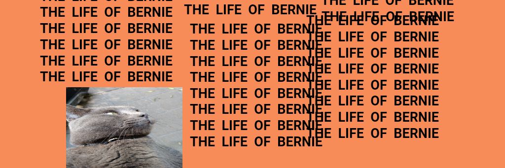 bpasquel's profile banner image