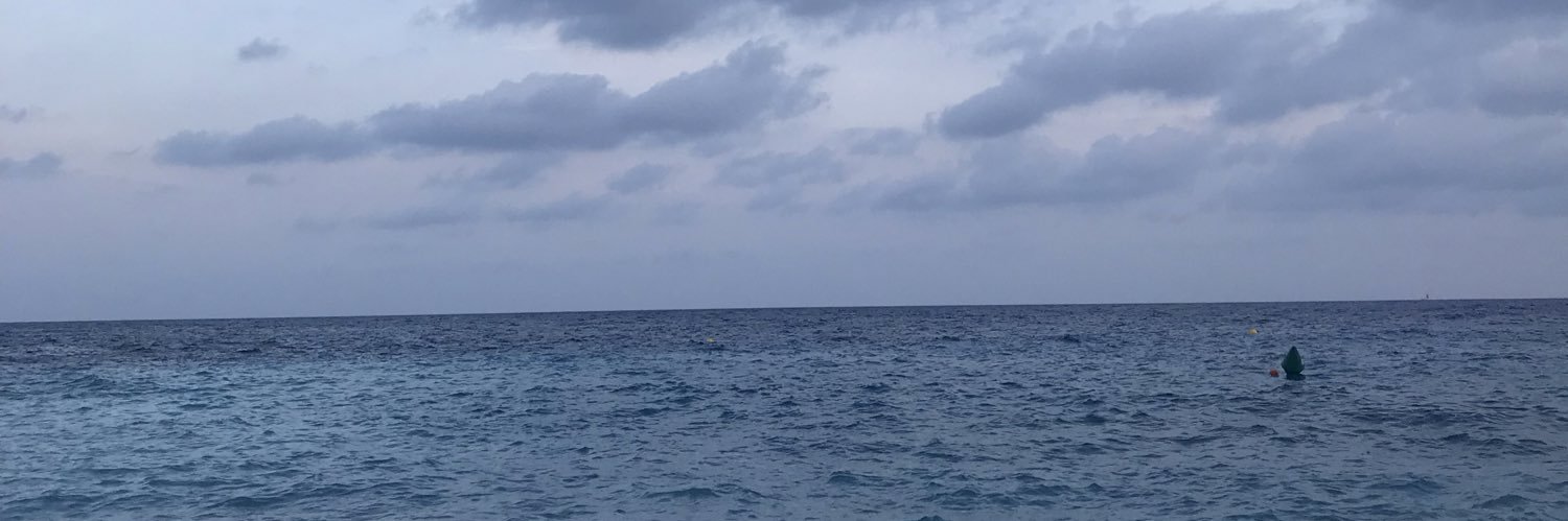 ClaudiaCalas's profile banner image