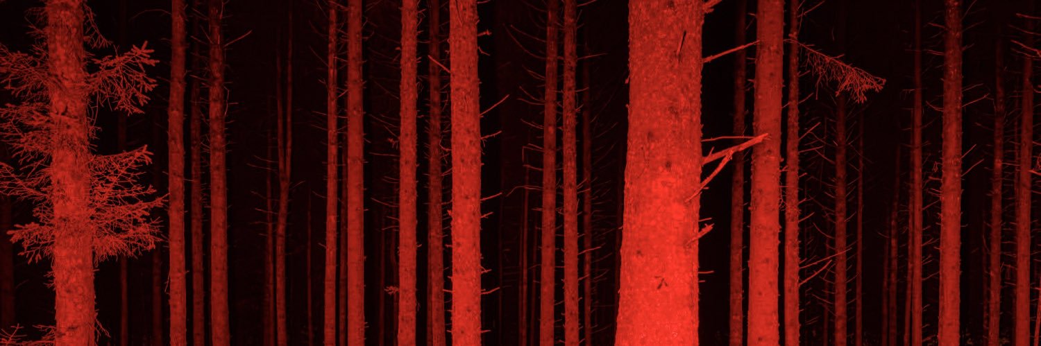 obvsliant's profile banner image
