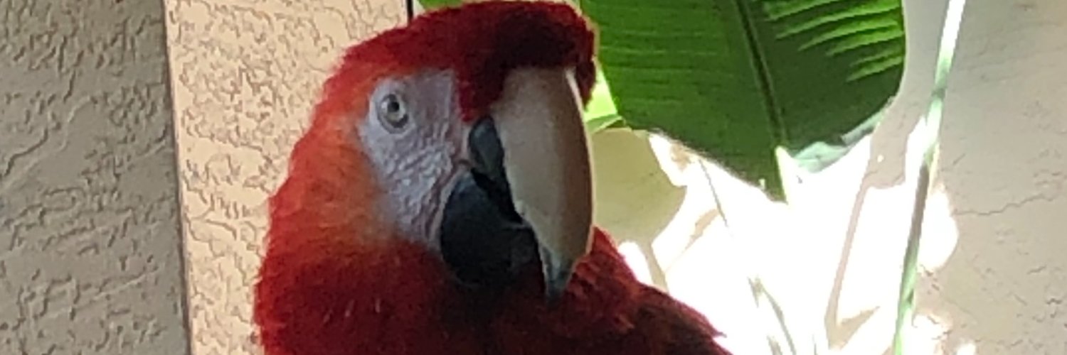 Ben Graber..Politician, Physician and Author, banner