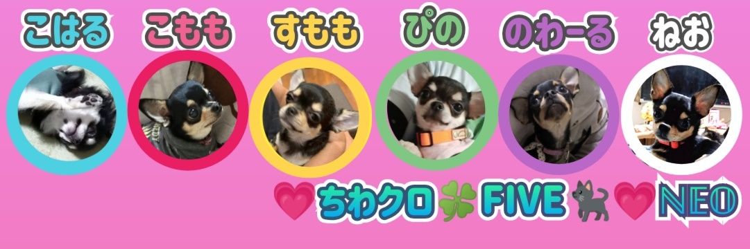ichigo5123's profile banner image