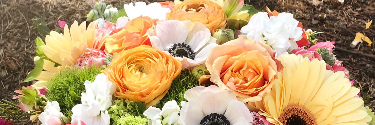BelladonnaRCT's profile banner image