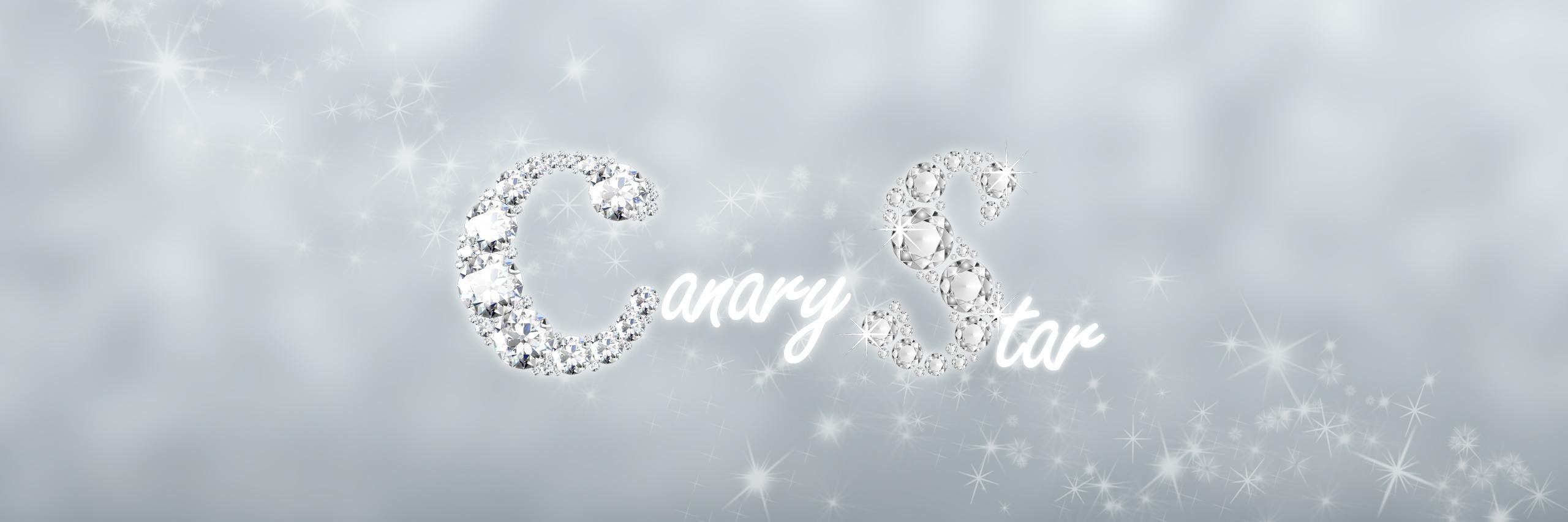 CanaryStar's profile banner image