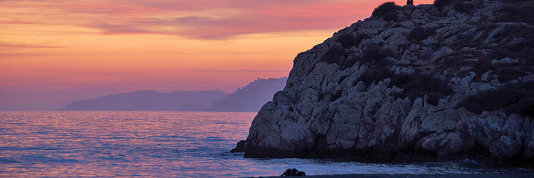 ASLO 2015 Granada banner