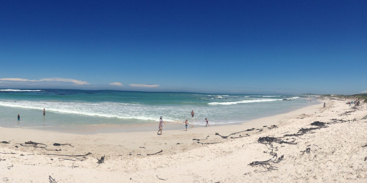 Michelle Harley banner