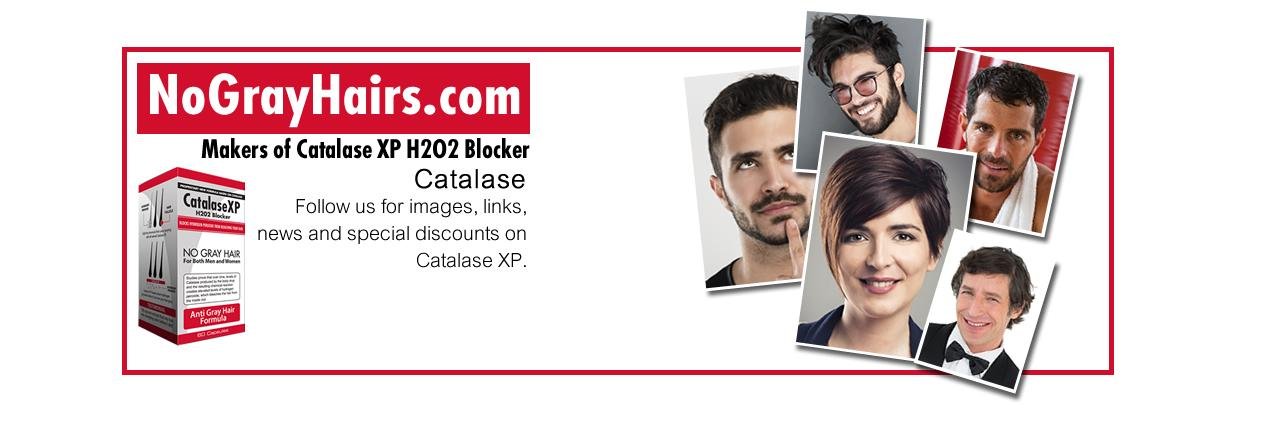 NGHCatalase's profile banner image