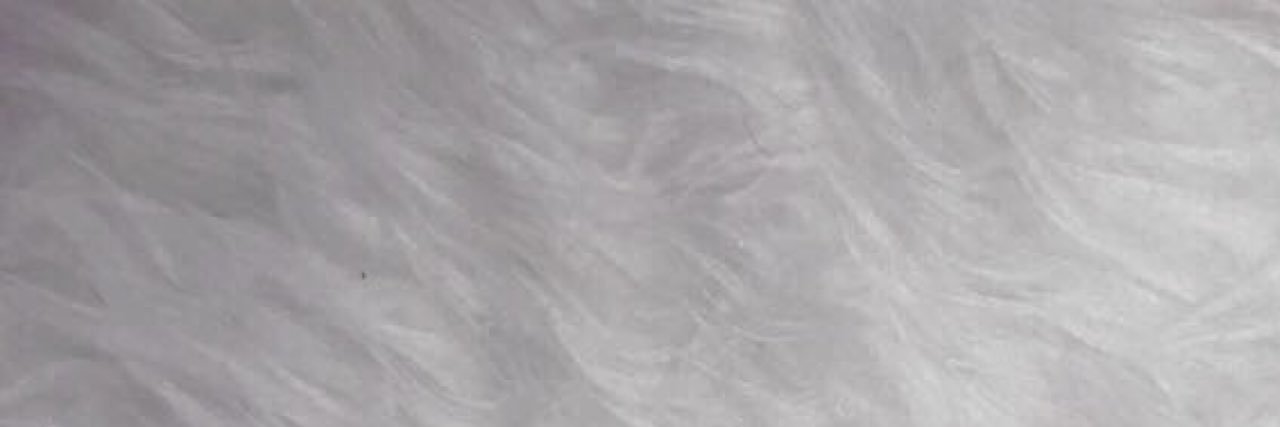 lexiemaisy's profile banner image