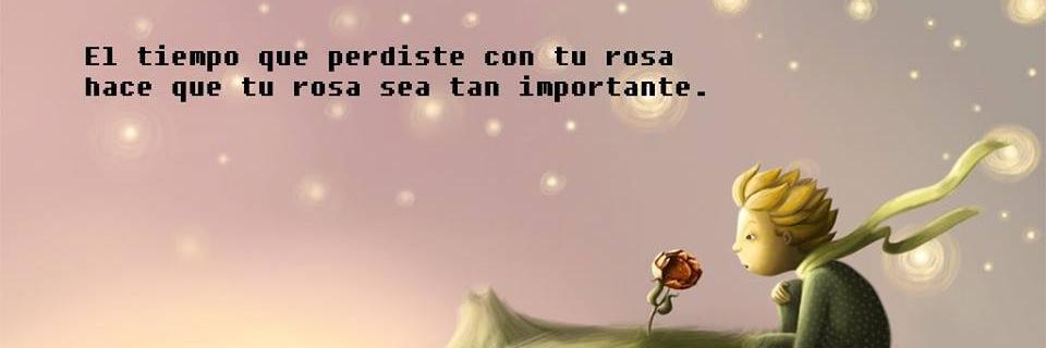 taticarango's profile banner image
