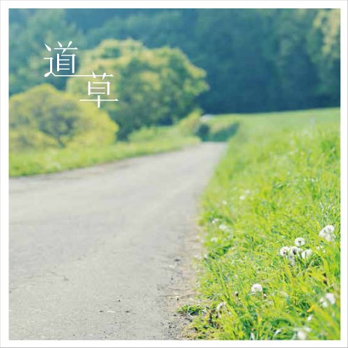 MichikusaCrypto's profile banner image