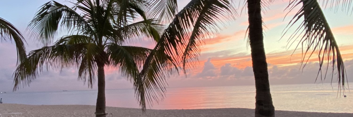 brittxriley's profile banner image