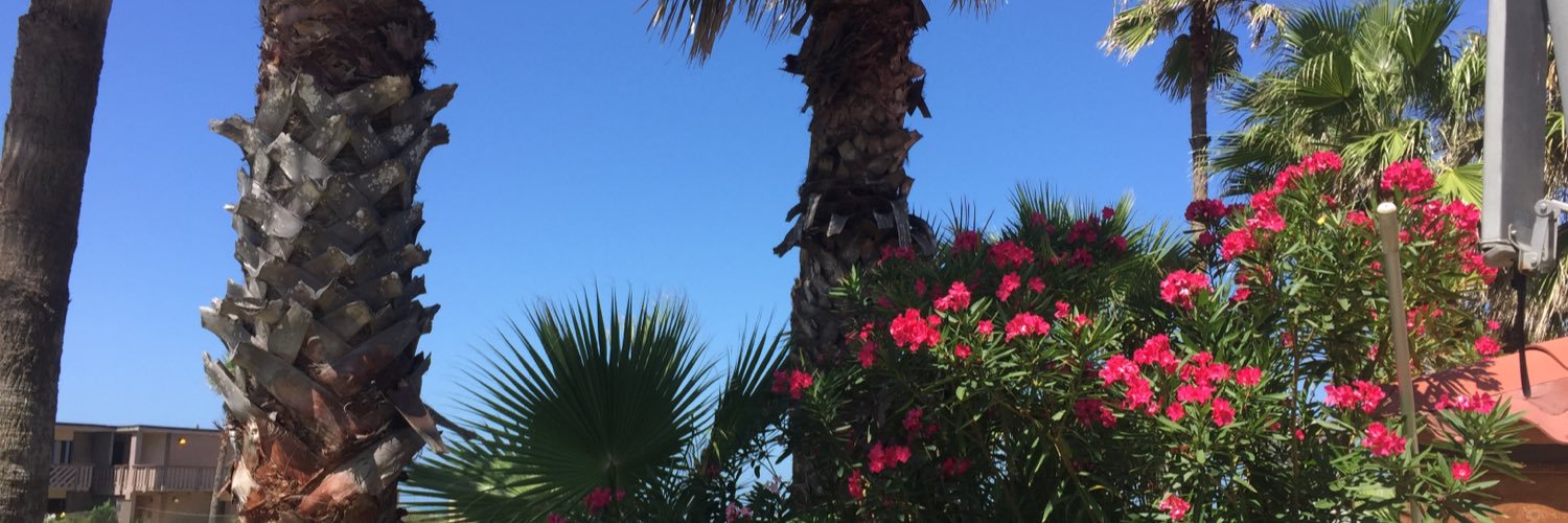 wxdancer's profile banner image
