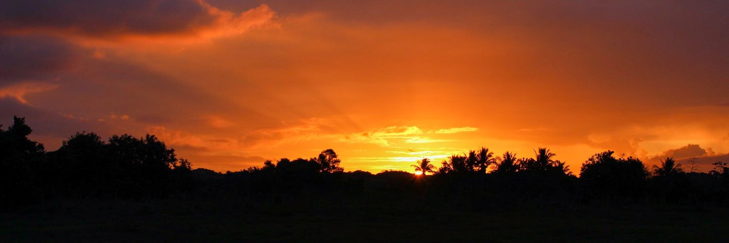 rodrigoarrabo's profile banner image