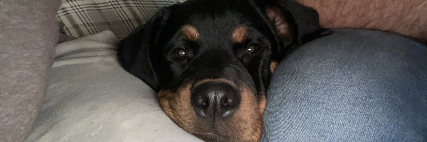 savagekyle's profile banner image