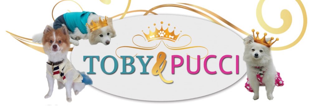TOBY & PUCCI (@tobyandpucci) / Posts / X