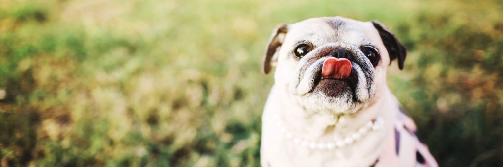 ednitamruiz's profile banner image