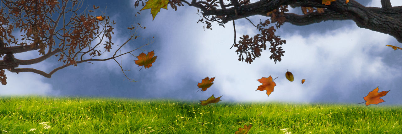 kamran960's profile banner image