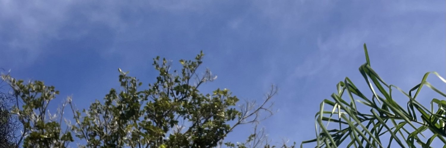 luanants_'s profile banner image