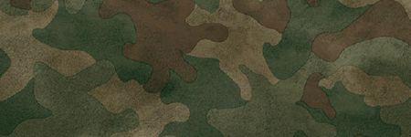 dilanisaa20's profile banner image