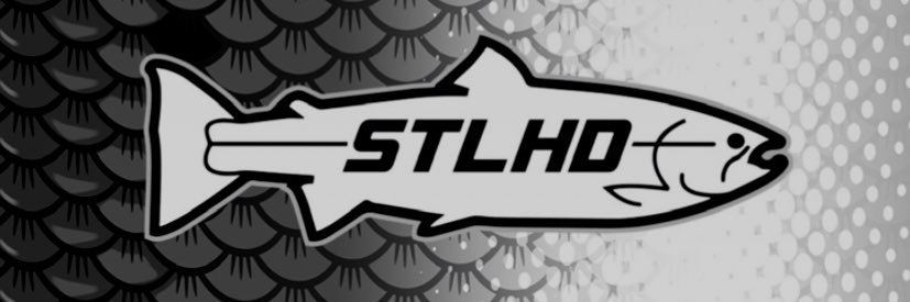 Scott banner