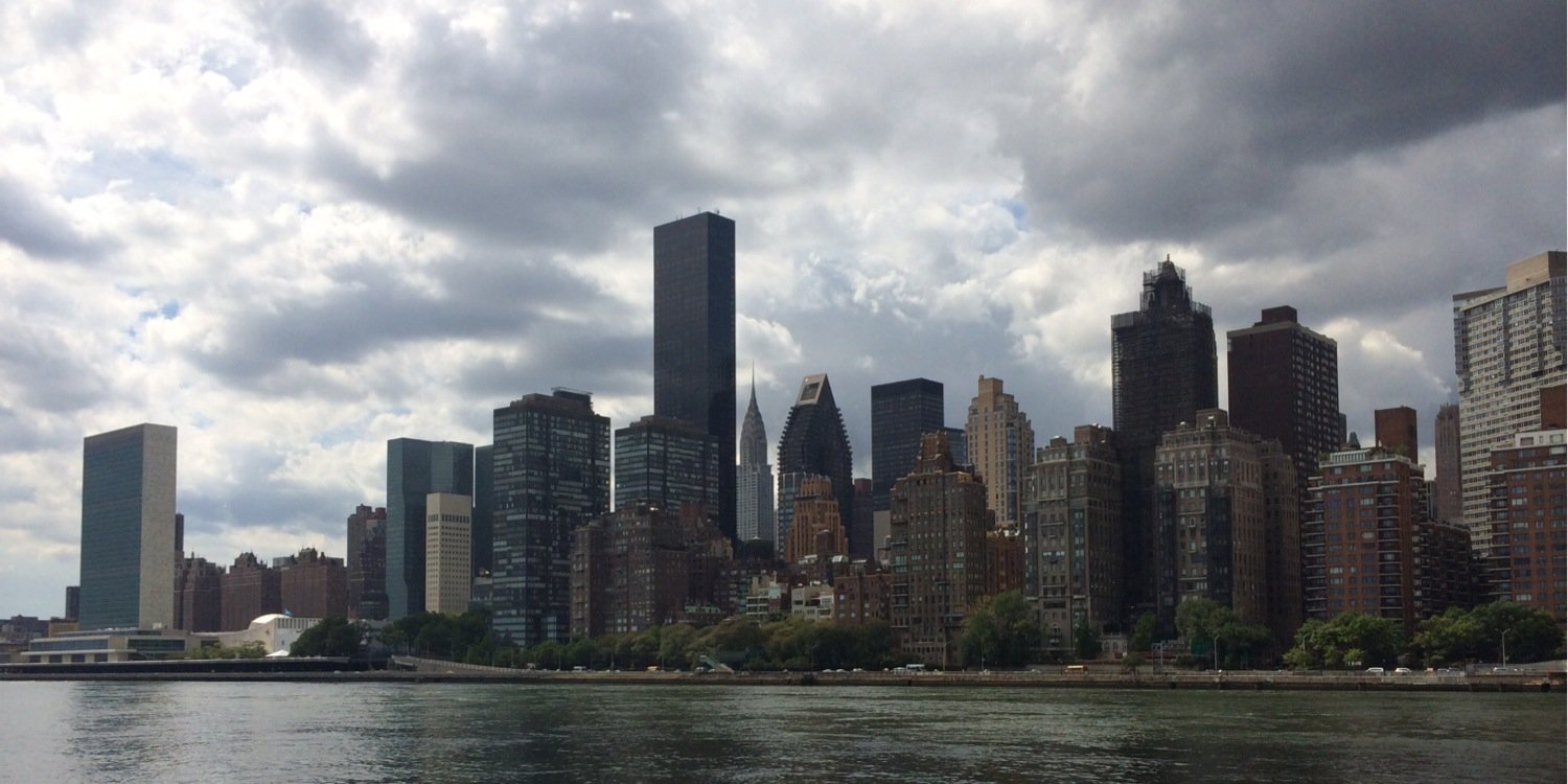 James D'Adamo banner