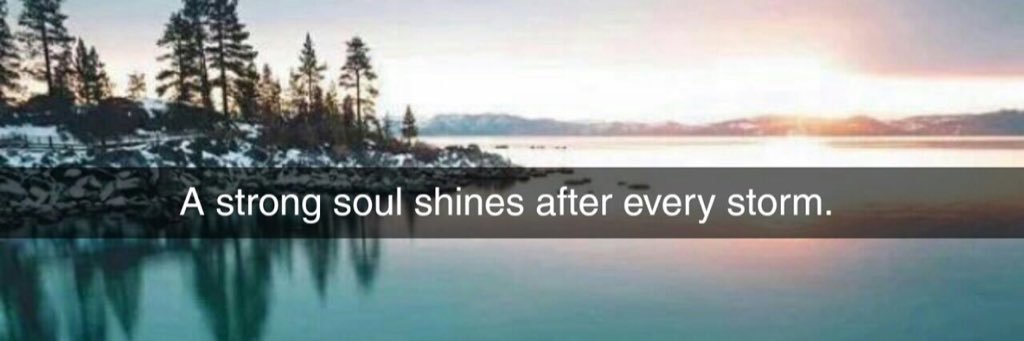 heba_elghool's profile banner image