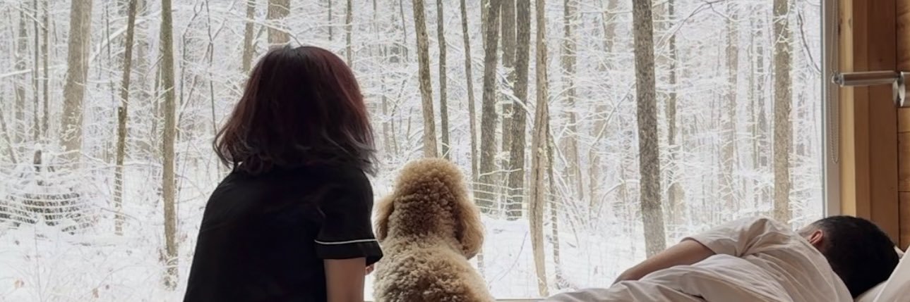s_annarose's profile banner image
