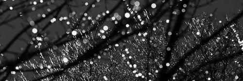 mpunkrockbabe's profile banner image