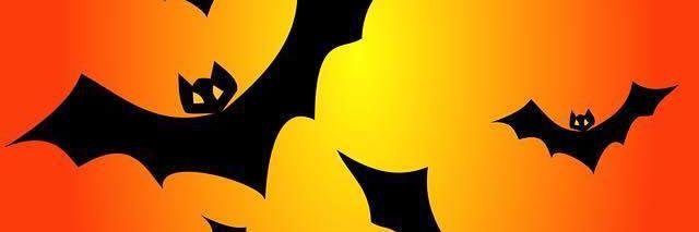 Martin Gaughan banner