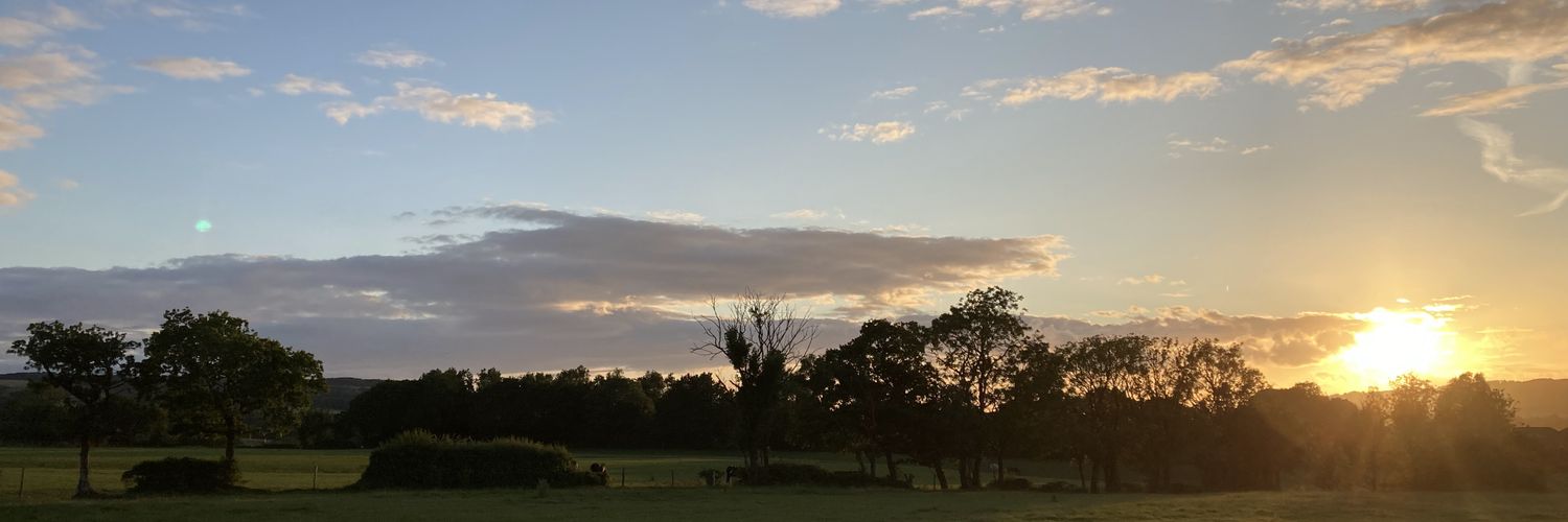 SarahHarrisons's profile banner image