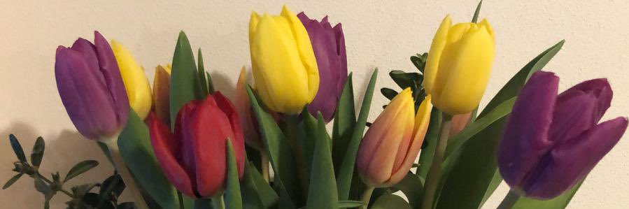 Maximalnik's profile banner image
