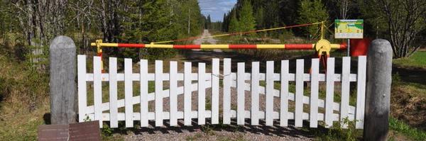 ktl_uef Profile Banner