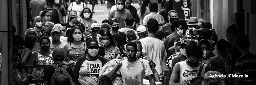 Maria Cristina Fernandes banner