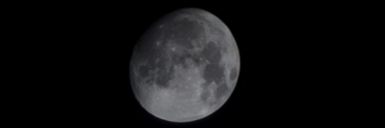 phoebe_beeby's profile banner image